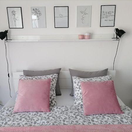 Svjetlanalex 2 Apartamento Banja Koviljača Exterior foto