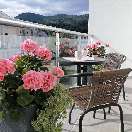 Svjetlanalex 2 Apartamento Banja Koviljača Exterior foto