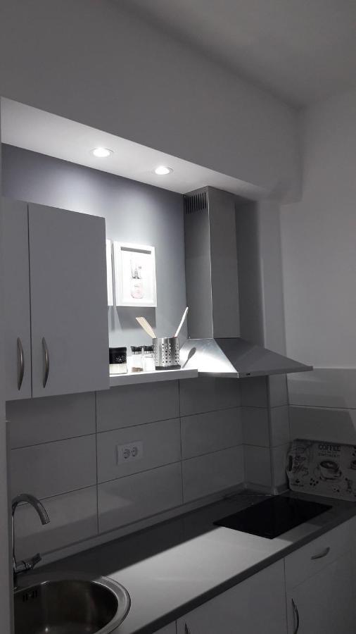 Svjetlanalex 2 Apartamento Banja Koviljača Exterior foto