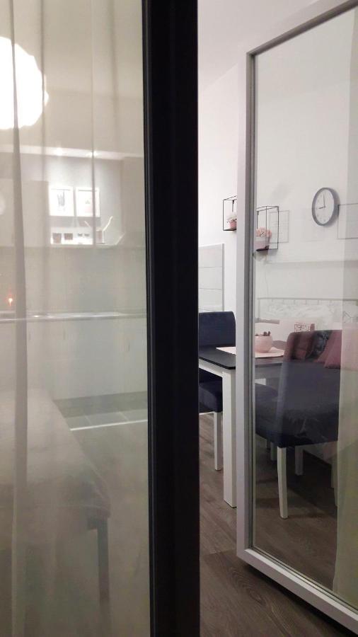 Svjetlanalex 2 Apartamento Banja Koviljača Exterior foto