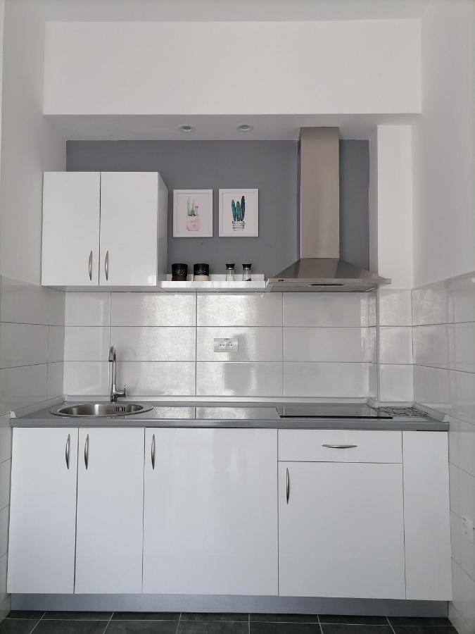 Svjetlanalex 2 Apartamento Banja Koviljača Exterior foto